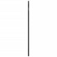 Wall Mirror Black Glass, Powder-coated steel 23.6x35.4 in