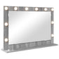 Vanity Mirror Gray Sonoma Particle board 31.5 x 21.7 x 7.1 in