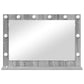Vanity Mirror Gray Sonoma Particle board 31.5 x 21.7 x 7.1 in