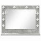 Vanity Mirror Concrete grey Concrete Medium Decorative Inlays