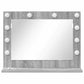 Vanity Mirror Gray Sonoma MDF, Glass 23.6 x 17.7 x 7.1 in