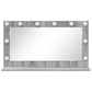 Vanity Mirror Gray Sonoma Particle Board, Glass