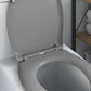 Quick Release Toilet Seat with Soft Close Duroplast Grey