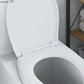 Quick Release Toilet Seat with Soft Close Duroplast White