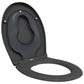 Toilet Seat Anthracite Plastic 14.6 x 17.6 x 1.6 in Detachable