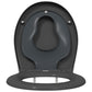 Toilet Seat Anthracite Plastic 14.6 x 17.6 x 1.6 in Detachable