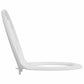 Family Toilet Seat with Child Seat Quick Release Duroplast