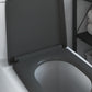 Quick Release Toilet Seat with Soft Close Duroplast Anthracite