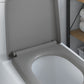 Quick Release Toilet Seat with Soft Close Duroplast Grey