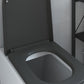 Quick Release Toilet Seat with Soft Close Duroplast Anthracite