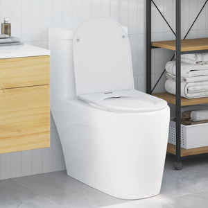 White Plastic Standard Smooth-Closing Toilet Seat Other