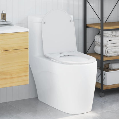 White Plastic Standard Smooth-Closing Toilet Seat Other