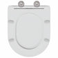 White Plastic Standard Smooth-Closing Toilet Seat Other